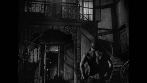 Clip 24 - A Streetcar Named Desire