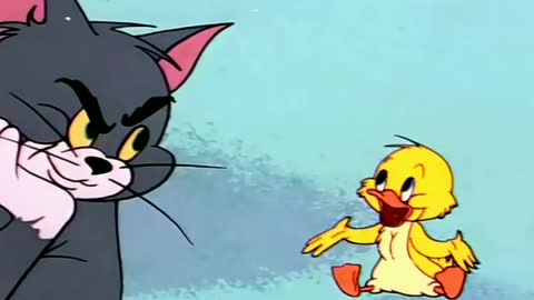 Tom and Jerry cartoon #animation