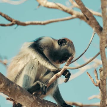 Foodies ll Epic Fail ll