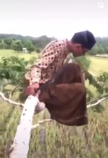 am eigenen Ast sägen