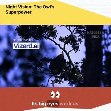 Discover the Night Vision Superpower of Owls!