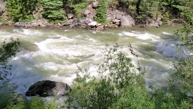 Animas River