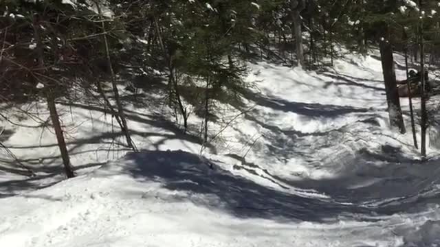 Collab copyright protection - guy skiing downhill knocks guy down