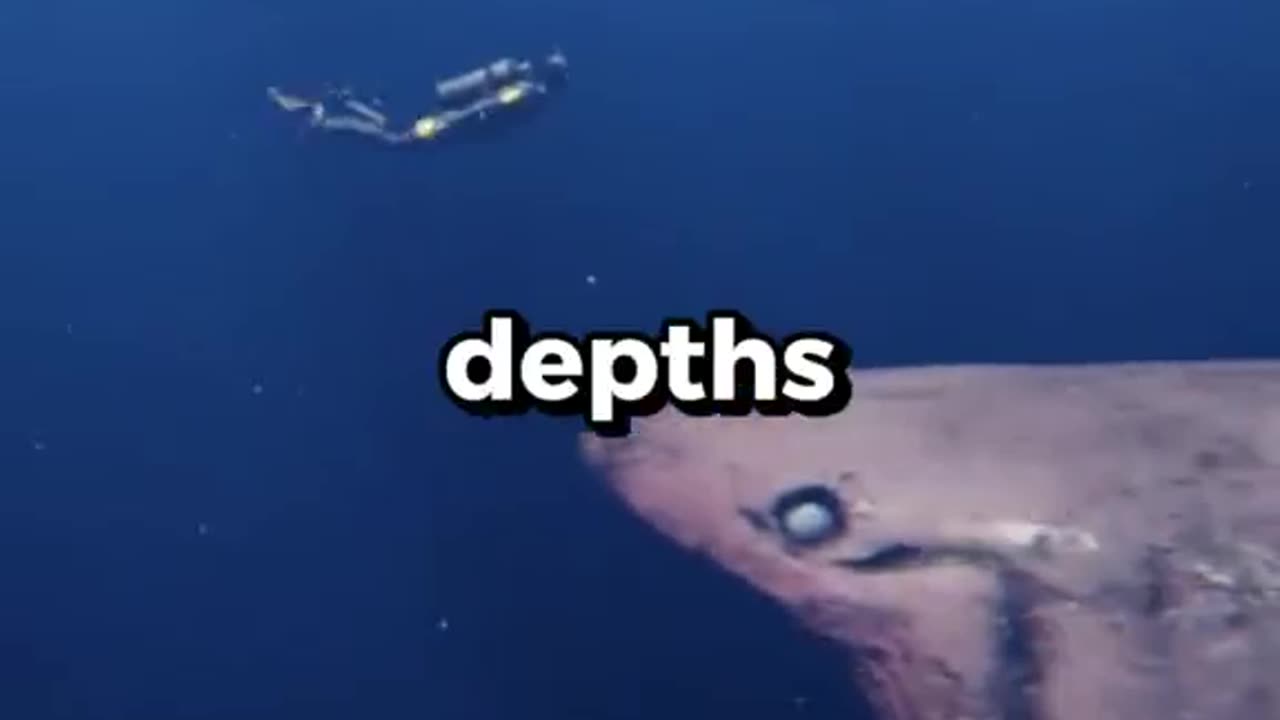 The ocean's most terrifying secret