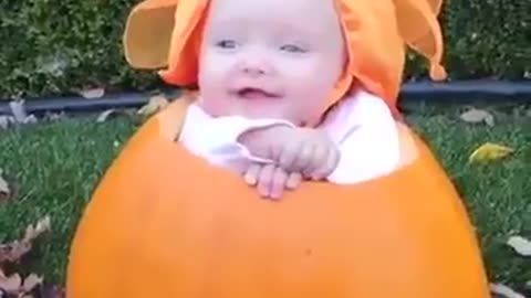 Funny Babies Videos