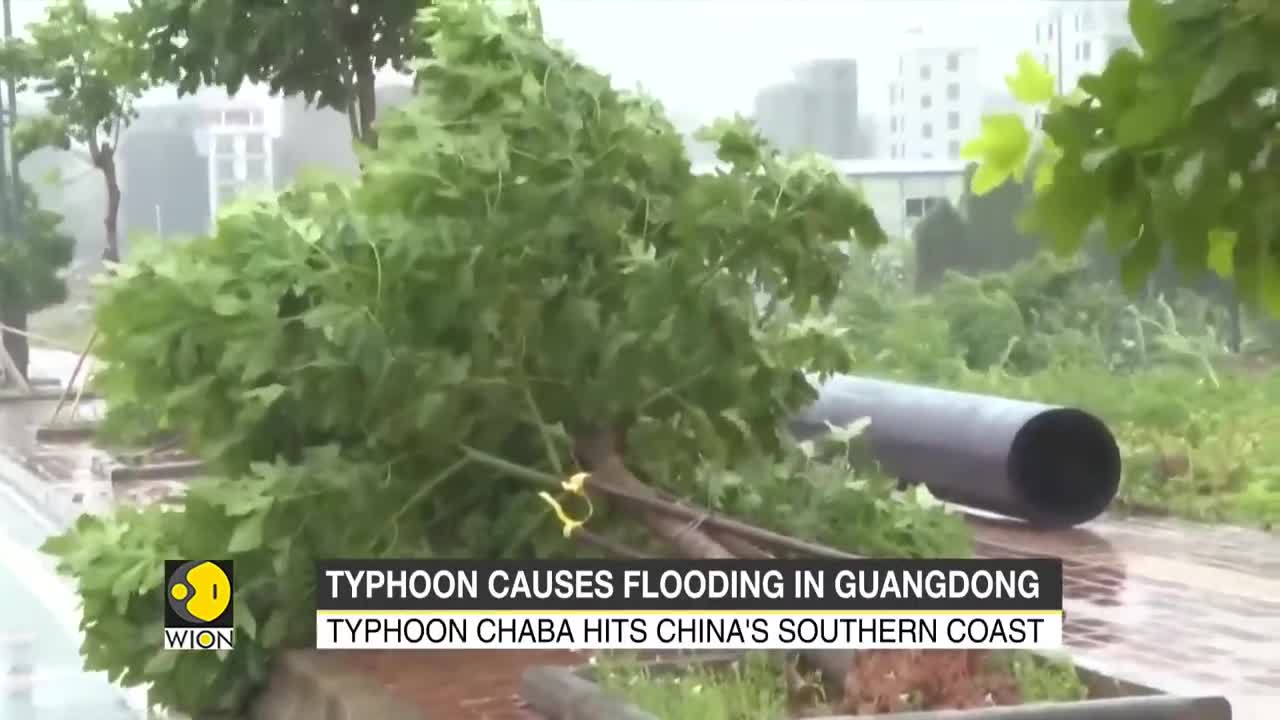 Typhoon Chaba hits China's Southern coast, causes flooding in Guangdong _ International News _ WION