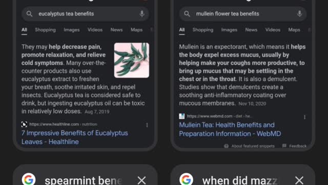 No fe-male at camps (some witch trys to)