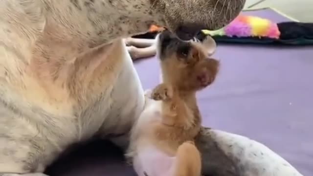It's not enough to be a father, you have to participate