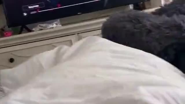 Tired from work need some massage.mp4