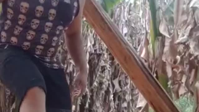 Índio quer fumar kkkkk