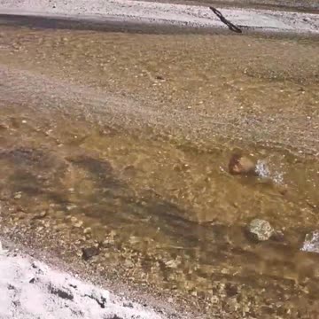 VISITING CATALINA STATE PARK 2