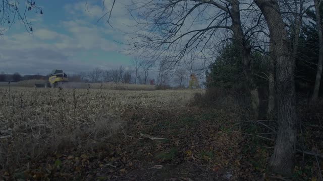 The disappearing corn field