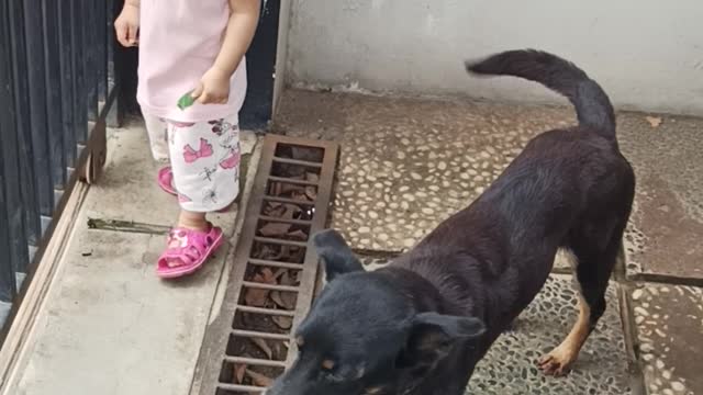 Sophie playing with her dog