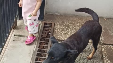 Sophie playing with her dog