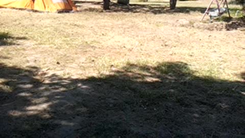 tent city, camp-festival
