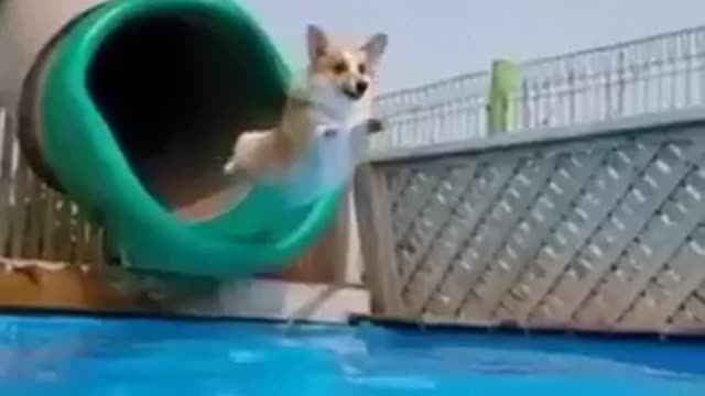 I Believe I can Fly!!
