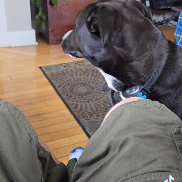 MAX Keeping a watchful eye