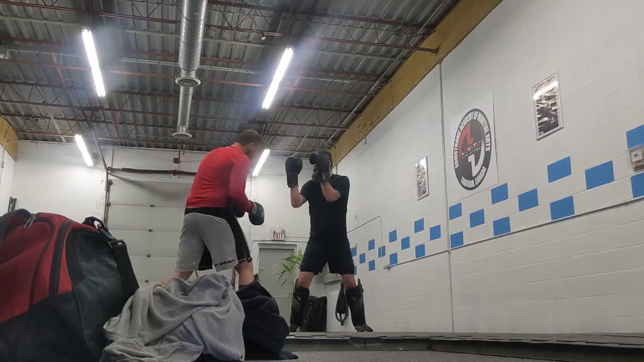 Sparring Compilation