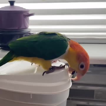 I don’t understand, it almost worked out?!