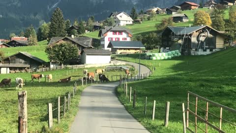 Travel in Switzerland