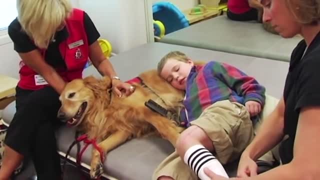 Sick Boy Says 'Goodbye' To Dog, But A Miracle Happens When The Dog Lays Next To Him...