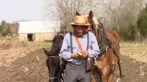 Horse Drawn Plowing with Titus Morris in Kentucky