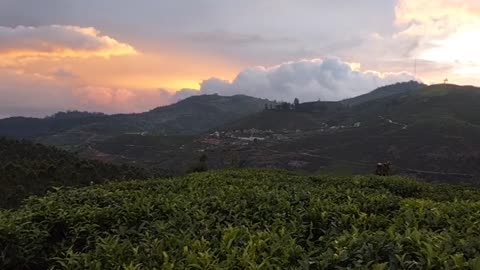 Nuwara eliya in sri lanka