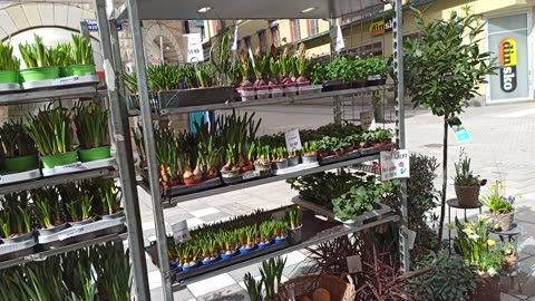 Från Krämaren till Trädgårdsgatan i Örebro. 5 April 2022