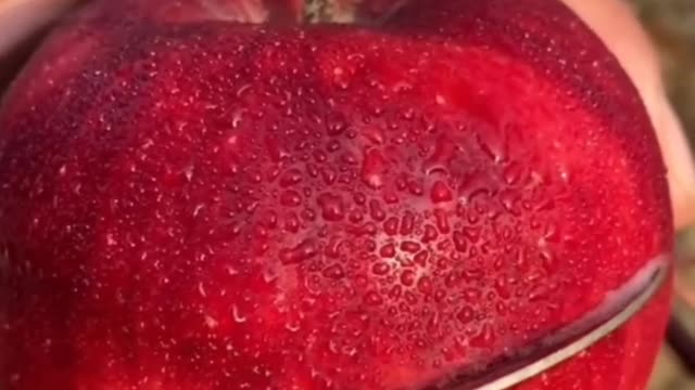 😍🍇🥭Farm Fresh Ninja Fruit Cutting (Desi Satisfying Fruit Ninja) 🍇🥭Fruit Ideas | Amazing Fruits 😍🍇