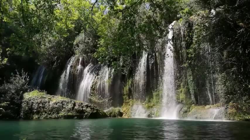 Relaxing Music | Nature Relaxation & Colorful Sea Life Water Fall Video