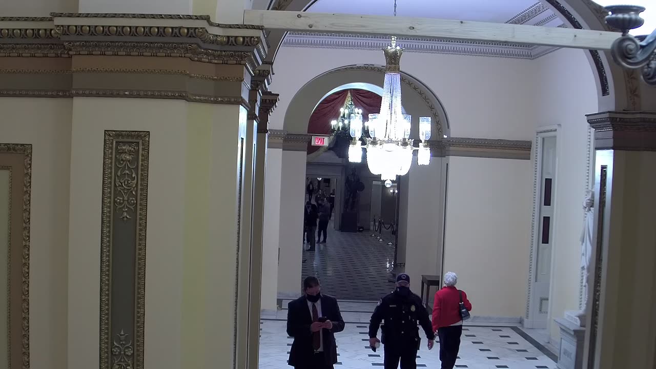 0259USCH02StatuaryHallConnector_2021-01-06_21h54min25s170ms.mp4