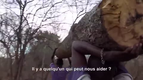 C'est le métier qui rapporte le plus au Mozambique