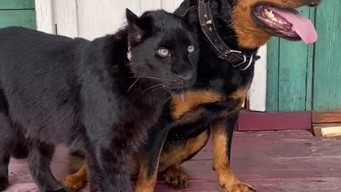 good friends