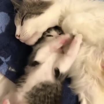 Wake up mom play with me