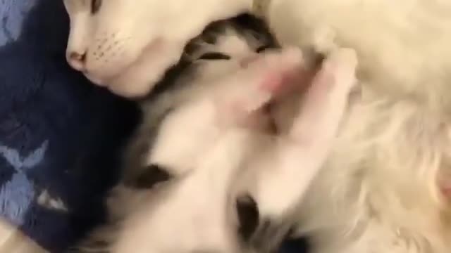Wake up mom play with me