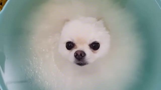 If I hadn't seen your head, I couldn't find where you were