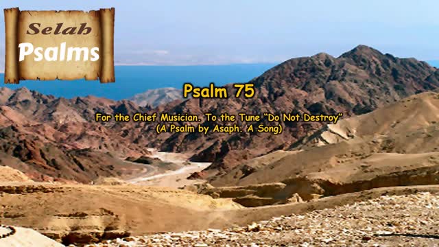 The Selah Psalms Project