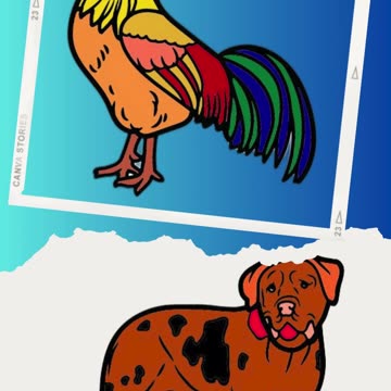 Stress Relief: Easy Animal Coloring Book