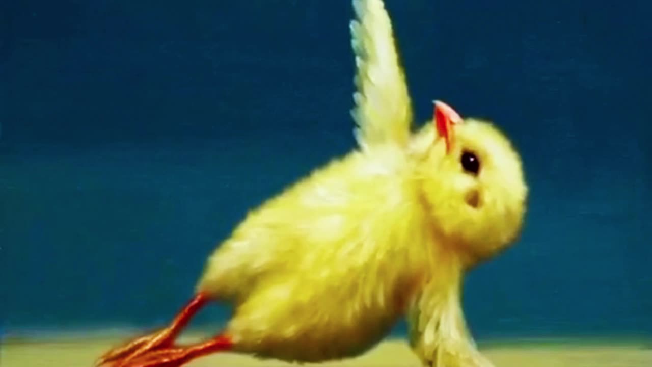 Yoga Chick