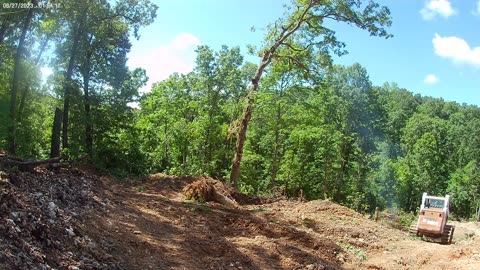 Taking down a big tree with my bobcat skid steer