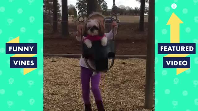 Ultimate funny animals/try not to laugh🙈