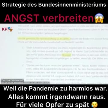 Strategiepapier der Bundesregierung Covid Corona