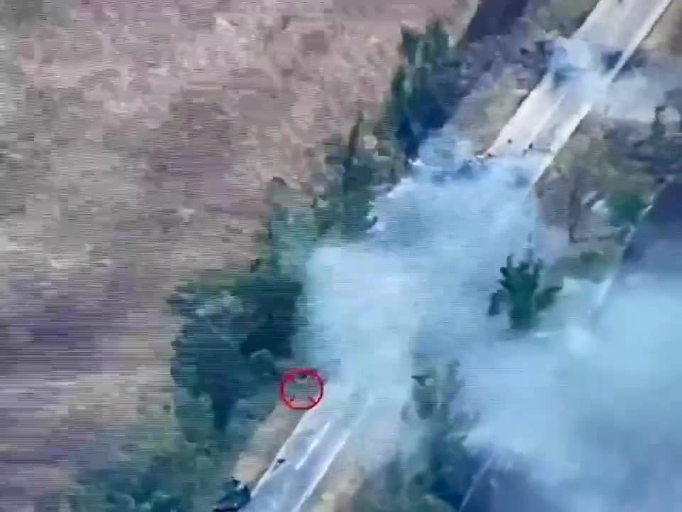 Destroyed column of equipment of the Russian invaders