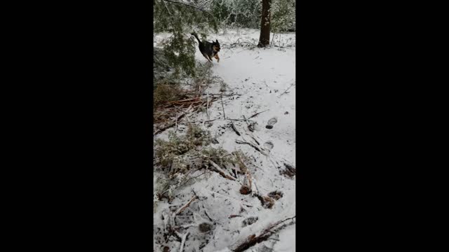 Benelli Loves Snow