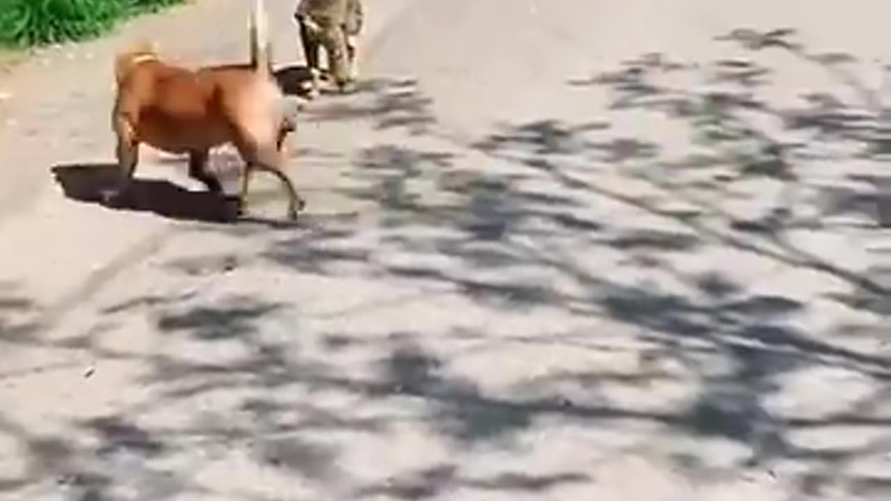 Funny