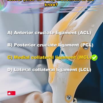 The Knee: Questions and Answers