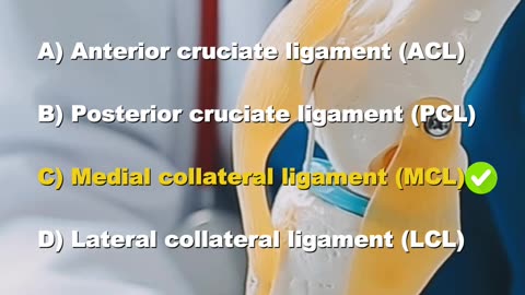 The Knee: Questions and Answers