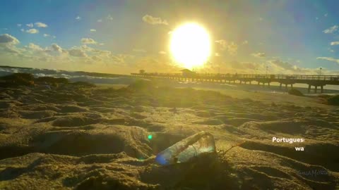 Early Morning in Florida