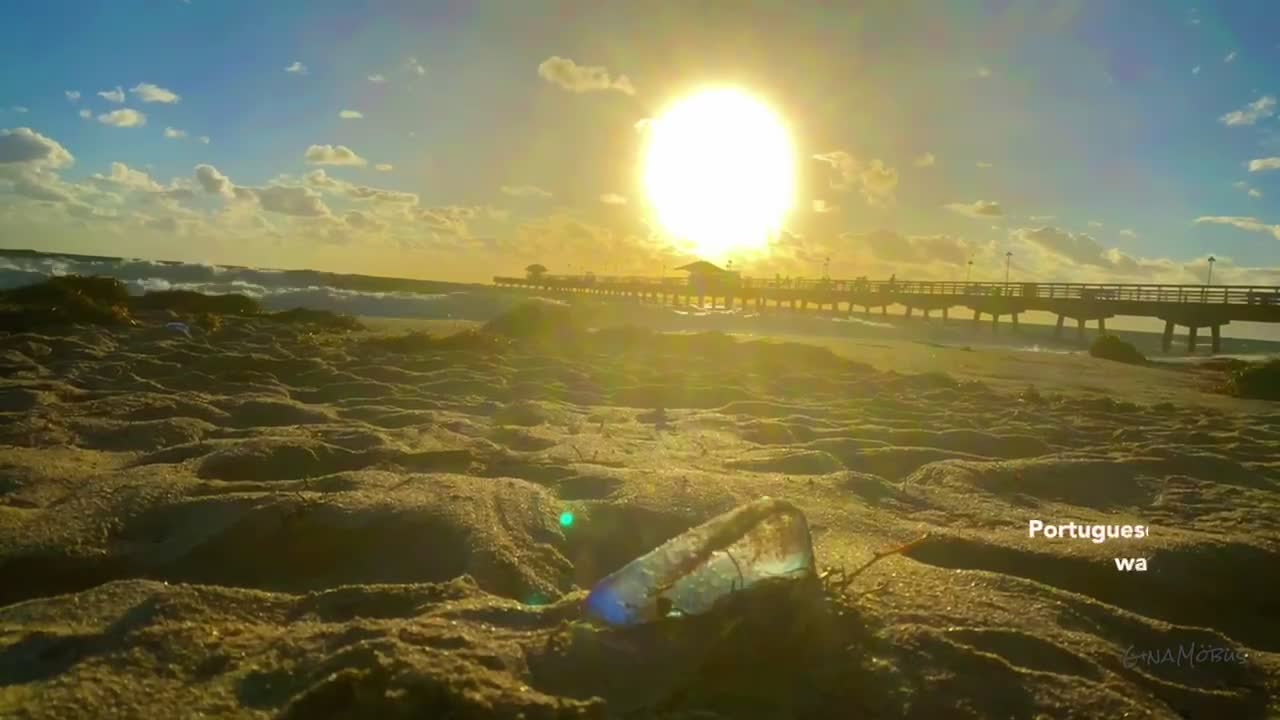 Early Morning in Florida