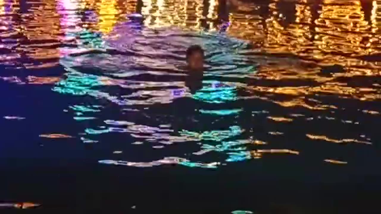 Swim in the ninght